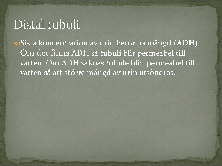 Distal tubuli Sista koncentration av urin beror på mängd (ADH). Om det finns ADH