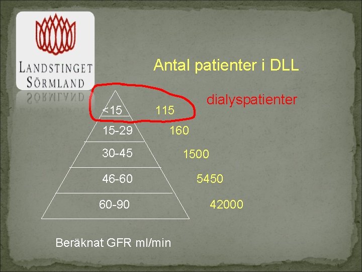 Antal patienter i DLL <15 15 -29 dialyspatienter 115 160 30 -45 46 -60