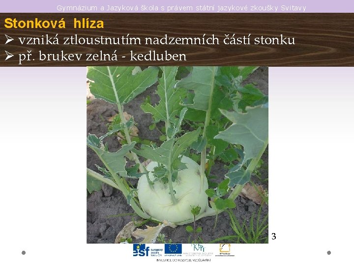 Gymnázium a Jazyková škola s právem státní jazykové zkoušky Svitavy Stonková hlíza Ø vzniká
