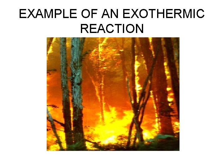 EXAMPLE OF AN EXOTHERMIC REACTION EXAMPLE OF AN EXOTHERMIC REACTION