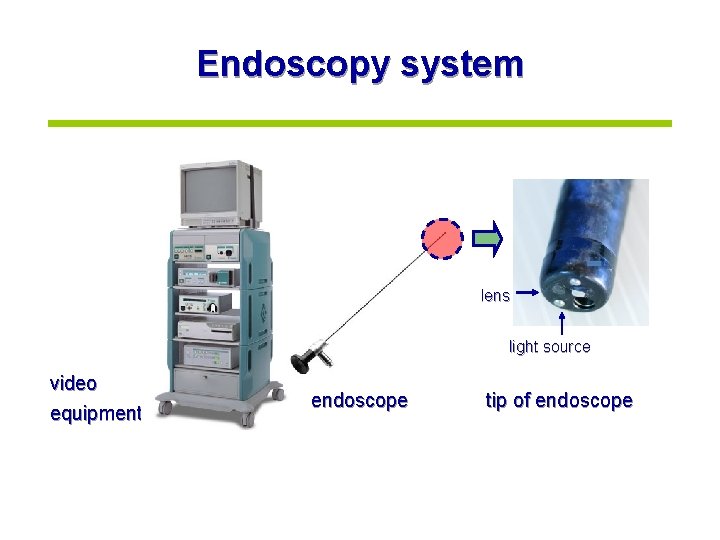 Endoscopy system lens light source video equipment endoscope tip of endoscope 
