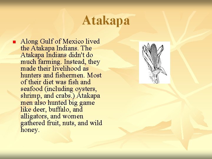 Atakapa n Along Gulf of Mexico lived the Atakapa Indians. The Atakapa Indians didn't
