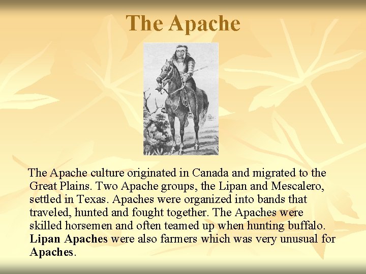 The Apache culture originated in Canada and migrated to the Great Plains. Two Apache