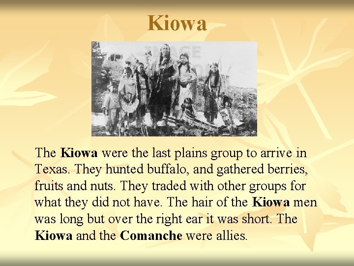 Kiowa The Kiowa were the last plains group to arrive in Texas. They hunted