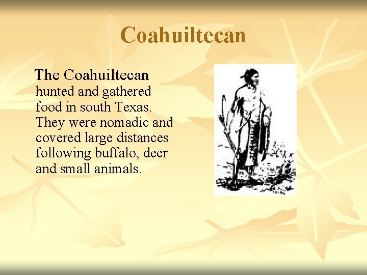 Coahuiltecan The Coahuiltecan hunted and gathered food in south Texas. They were nomadic and