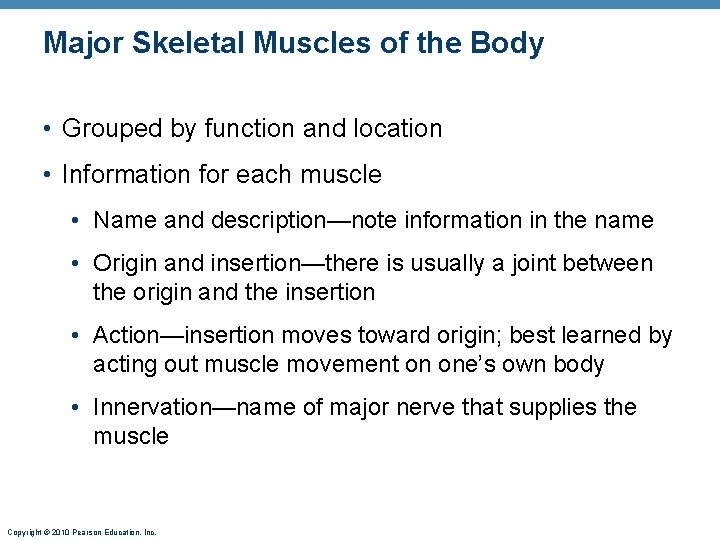 Major Skeletal Muscles of the Body • Grouped by function and location • Information