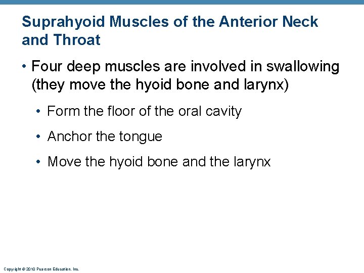 Suprahyoid Muscles of the Anterior Neck and Throat • Four deep muscles are involved