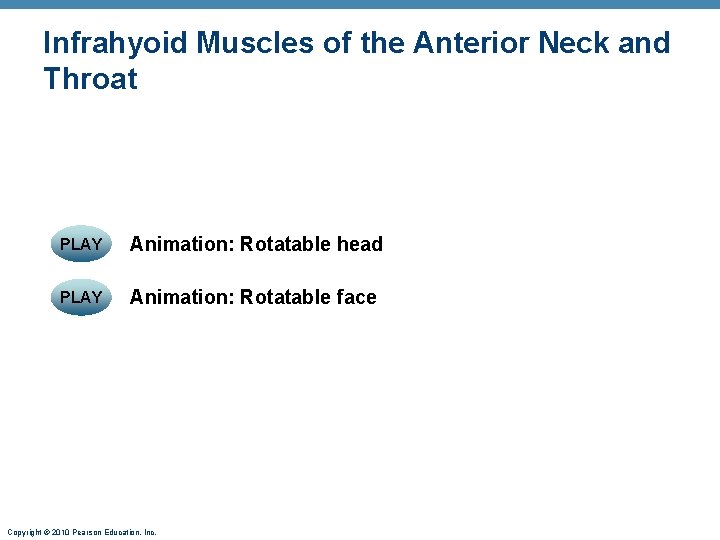 Infrahyoid Muscles of the Anterior Neck and Throat PLAY Animation: Rotatable head PLAY Animation: