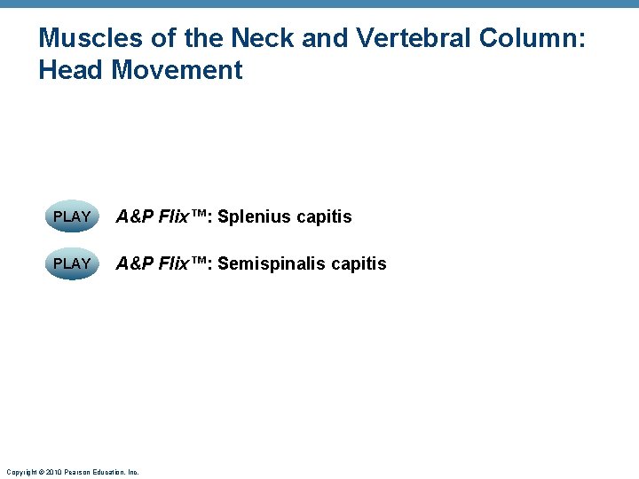 Muscles of the Neck and Vertebral Column: Head Movement PLAY A&P Flix™: Splenius capitis Muscles of the Neck and Vertebral Column: Head Movement PLAY A&P Flix™: Splenius capitis