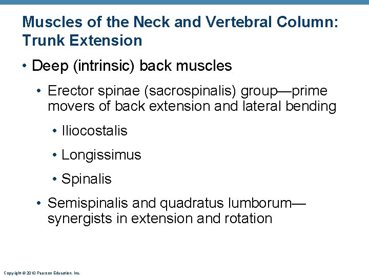 Muscles of the Neck and Vertebral Column: Trunk Extension • Deep (intrinsic) back muscles
