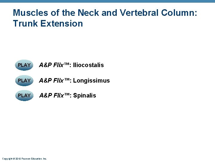 Muscles of the Neck and Vertebral Column: Trunk Extension PLAY A&P Flix™: Iliocostalis PLAY Muscles of the Neck and Vertebral Column: Trunk Extension PLAY A&P Flix™: Iliocostalis PLAY