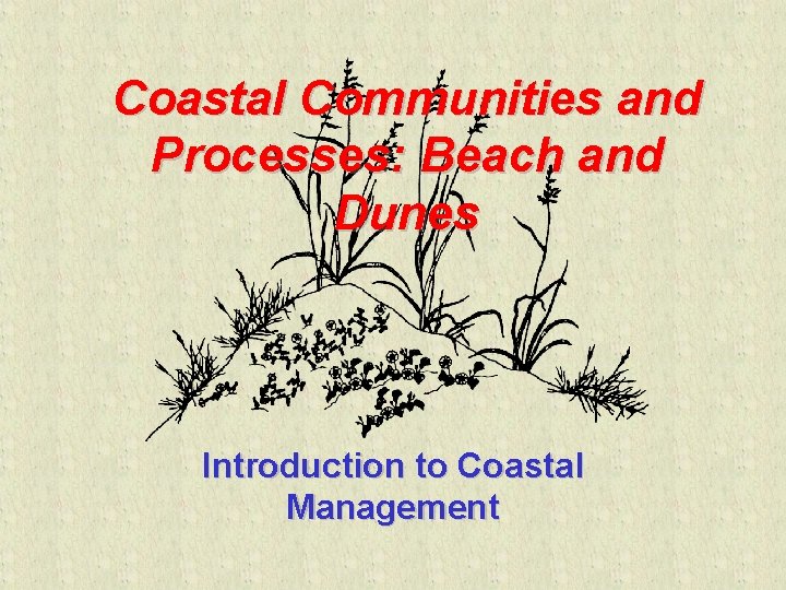Coastal Communities and Processes: Beach and Dunes Introduction to Coastal Management 