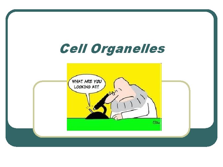Cell Organelles 