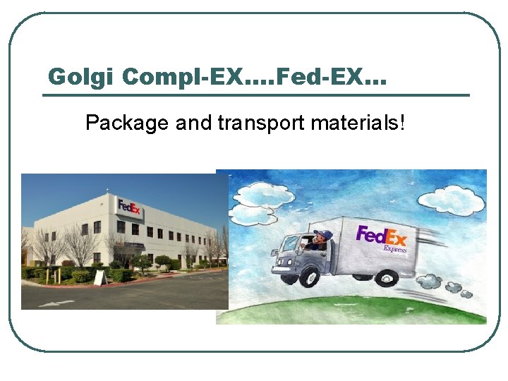 Golgi Compl-EX…. Fed-EX… Package and transport materials! 