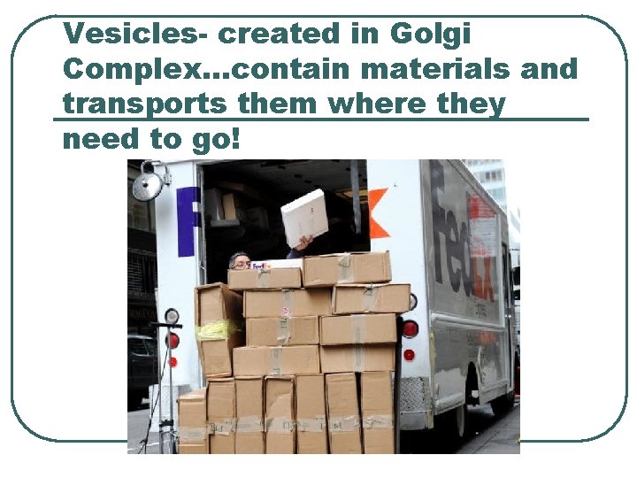 Vesicles- created in Golgi Complex…contain materials and transports them where they need to go!