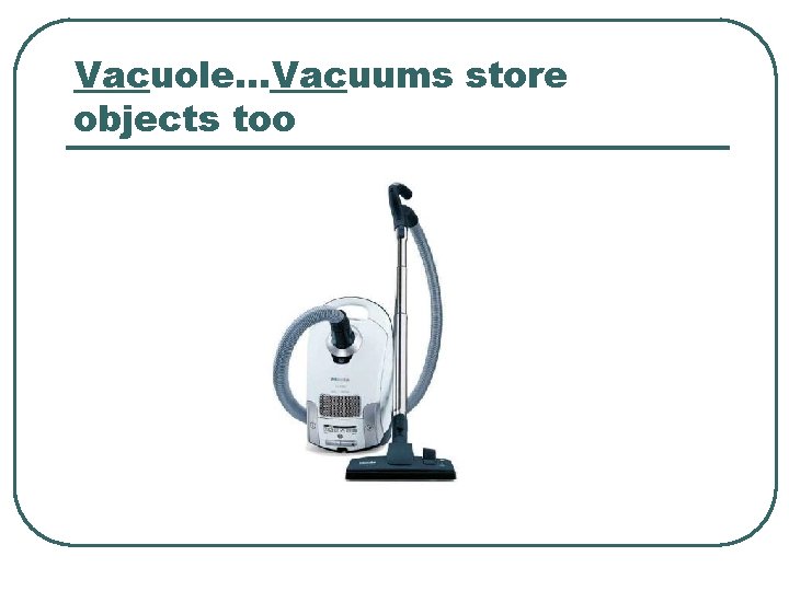Vacuole…Vacuums store objects too 
