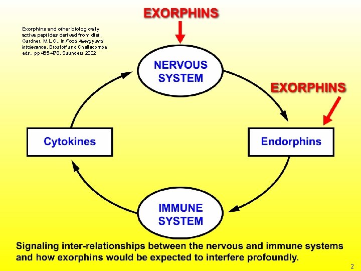 Exorphins and other biologically active peptides derived from diet, Gardner, M. L. G. ,