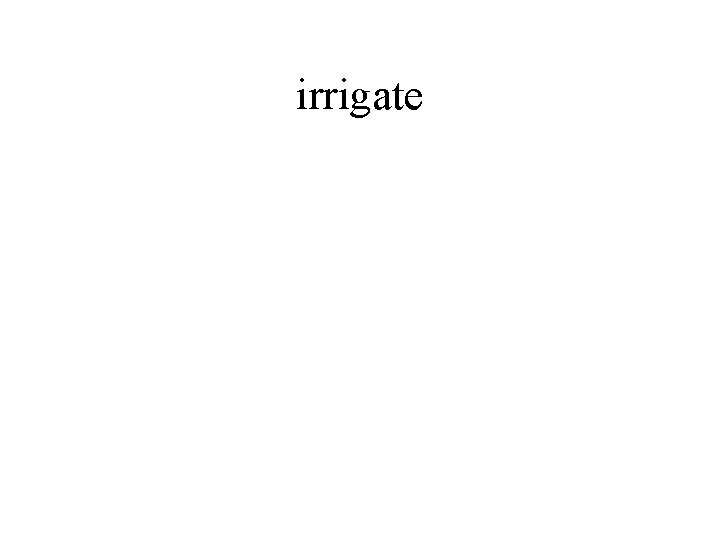 irrigate 