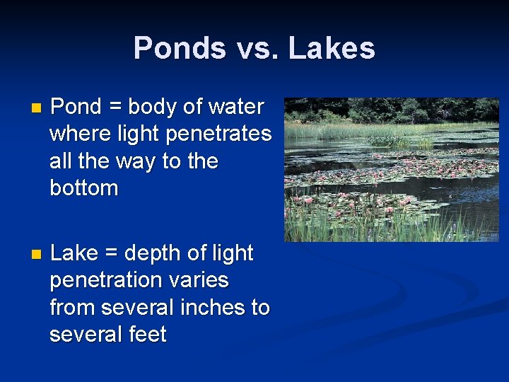 Ponds vs. Lakes n Pond = body of water where light penetrates all the