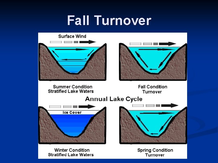 Fall Turnover 