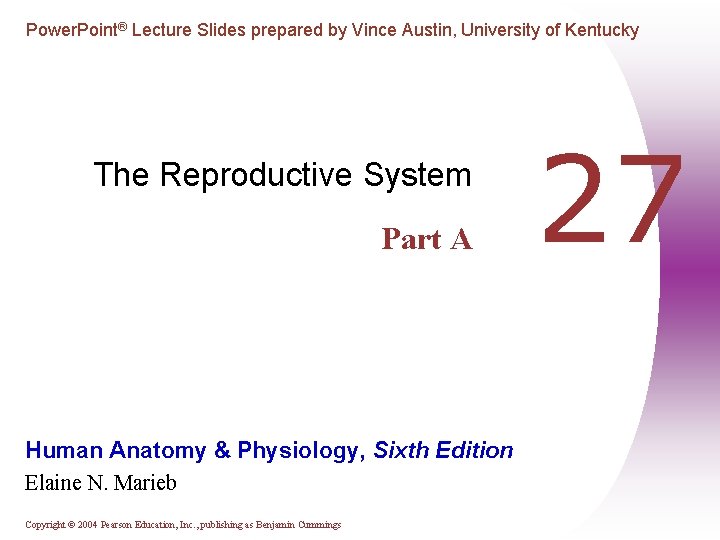 Power. Point® Lecture Slides prepared by Vince Austin, University of Kentucky The Reproductive System