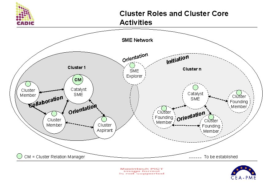 Cluster Roles and Cluster Core Activities SME Network n atio t n e i