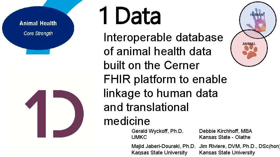 1 Data Draft for Discussion Purposes Strategy Interoperable database of animal health data built
