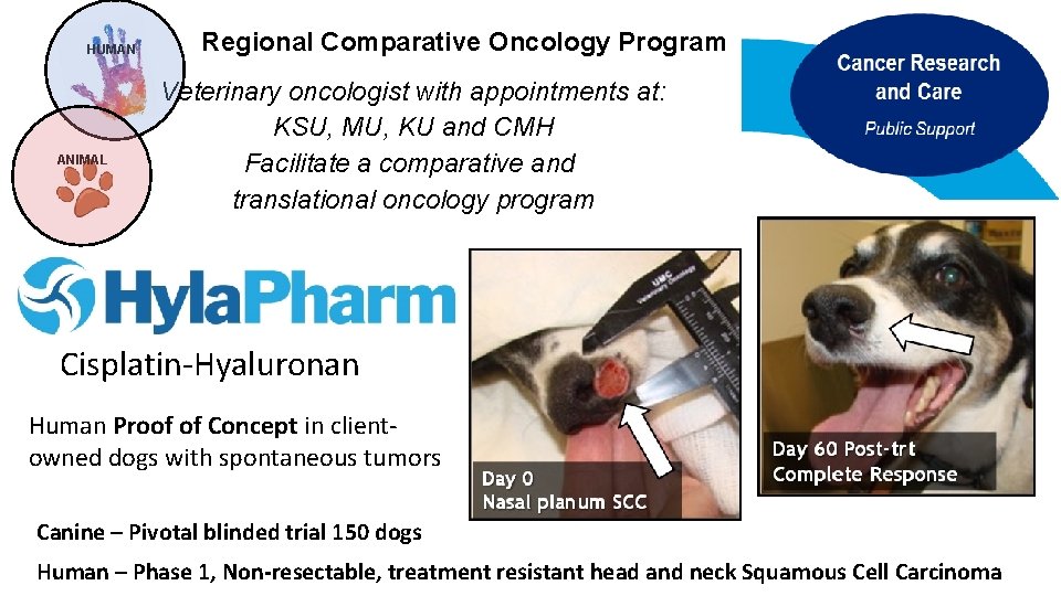 Draft for Discussion Purposes HUMAN ANIMAL Regional Comparative Oncology Program Strategy Veterinary oncologist with