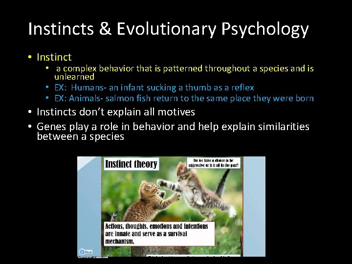 Instincts & Evolutionary Psychology • Instinct • a complex behavior that is patterned throughout