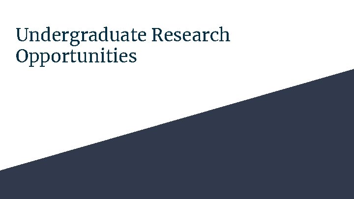 Undergraduate Research Opportunities 