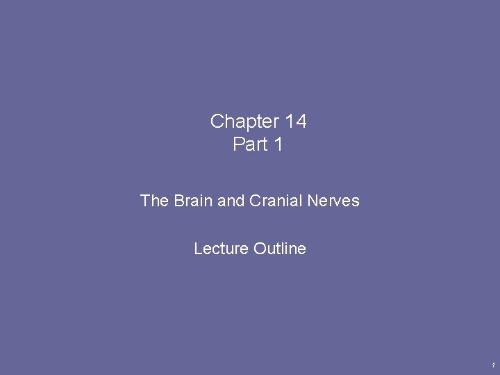 Chapter 14 Part 1 The Brain and Cranial Nerves Lecture Outline 1 