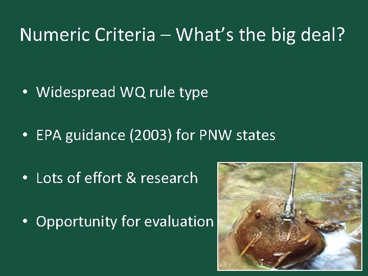Numeric Criteria – What’s the big deal? • Widespread WQ rule type • EPA