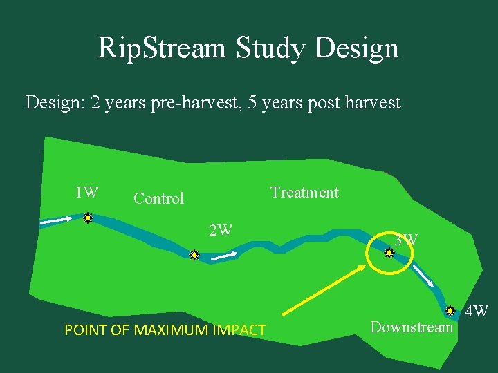 Rip. Stream Study Design: 2 years pre-harvest, 5 years post harvest 1 W Treatment