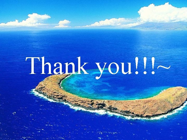 Thank you!!!~ Thank you!!!~