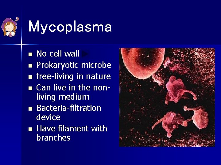 Mycoplasma n n n No cell wall Prokaryotic microbe free-living in nature Can live Mycoplasma n n n No cell wall Prokaryotic microbe free-living in nature Can live