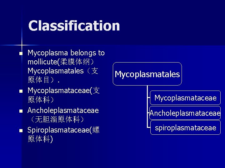 Classification n n Mycoplasma belongs to mollicute(柔膜体纲) Mycoplasmatales(支 原体目). Mycoplasmataceae(支 原体科) Ancholeplasmataceae (无胆淄原体科) Spiroplasmataceae(螺 Classification n n Mycoplasma belongs to mollicute(柔膜体纲) Mycoplasmatales(支 原体目). Mycoplasmataceae(支 原体科) Ancholeplasmataceae (无胆淄原体科) Spiroplasmataceae(螺