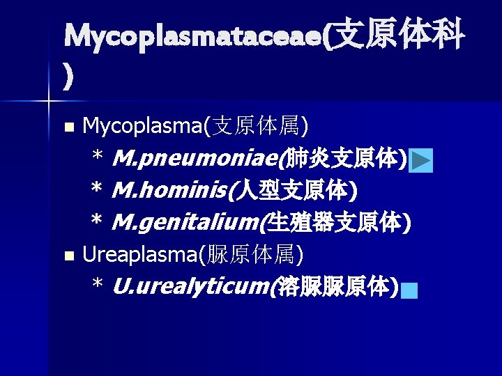 Mycoplasmataceae(支原体科 ) Mycoplasma(支原体属) * M. pneumoniae(肺炎支原体) * M. hominis(人型支原体) * M. genitalium(生殖器支原体) n Ureaplasma(脲原体属) Mycoplasmataceae(支原体科 ) Mycoplasma(支原体属) * M. pneumoniae(肺炎支原体) * M. hominis(人型支原体) * M. genitalium(生殖器支原体) n Ureaplasma(脲原体属)