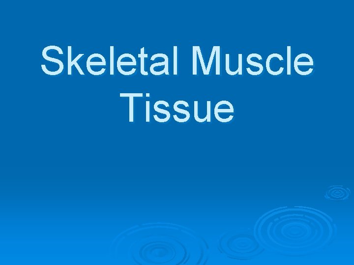 Skeletal Muscle Tissue 