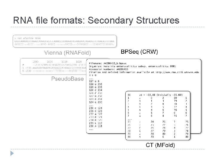 RNA file formats: Secondary Structures RNA file formats: Secondary Structures