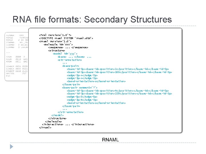 RNA file formats: Secondary Structures <? xml version="1. 0"? > <!DOCTYPE rnaml SYSTEM "rnaml.