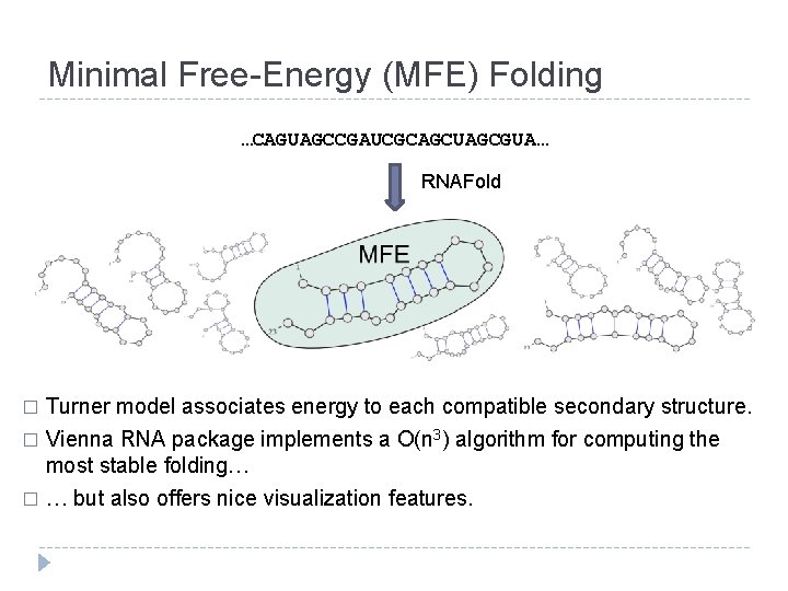 Minimal Free-Energy (MFE) Folding …CAGUAGCCGAUCGCAGCUAGCGUA… RNAFold Turner model associates energy to each compatible secondary Minimal Free-Energy (MFE) Folding …CAGUAGCCGAUCGCAGCUAGCGUA… RNAFold Turner model associates energy to each compatible secondary