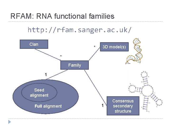 RFAM: RNA functional families http: //rfam. sanger. ac. uk/ Clan * 3 D model(s)