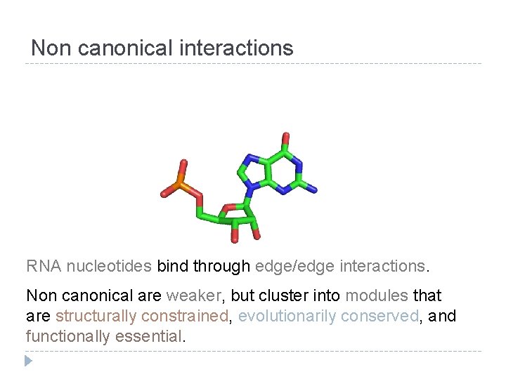 Non canonical interactions RNA nucleotides bind through edge/edge interactions. Non canonical are weaker, but Non canonical interactions RNA nucleotides bind through edge/edge interactions. Non canonical are weaker, but