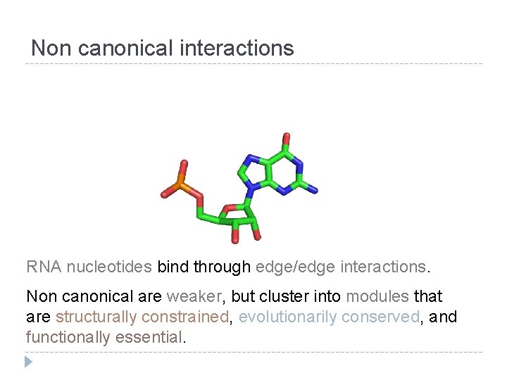 Non canonical interactions RNA nucleotides bind through edge/edge interactions. Non canonical are weaker, but