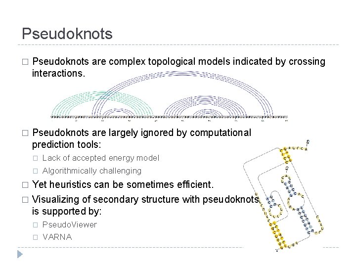 Pseudoknots � Pseudoknots are complex topological models indicated by crossing interactions. � Pseudoknots are