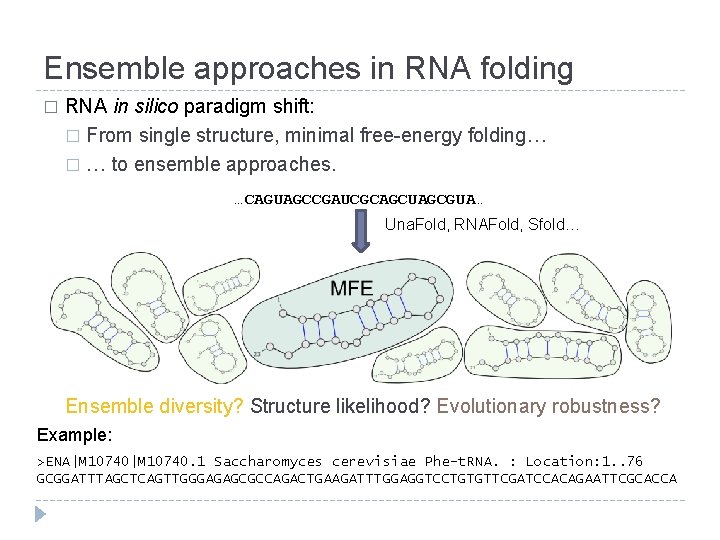 Ensemble approaches in RNA folding � RNA in silico paradigm shift: � From single