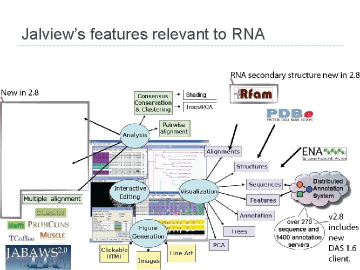 Jalview’s features relevant to RNA 