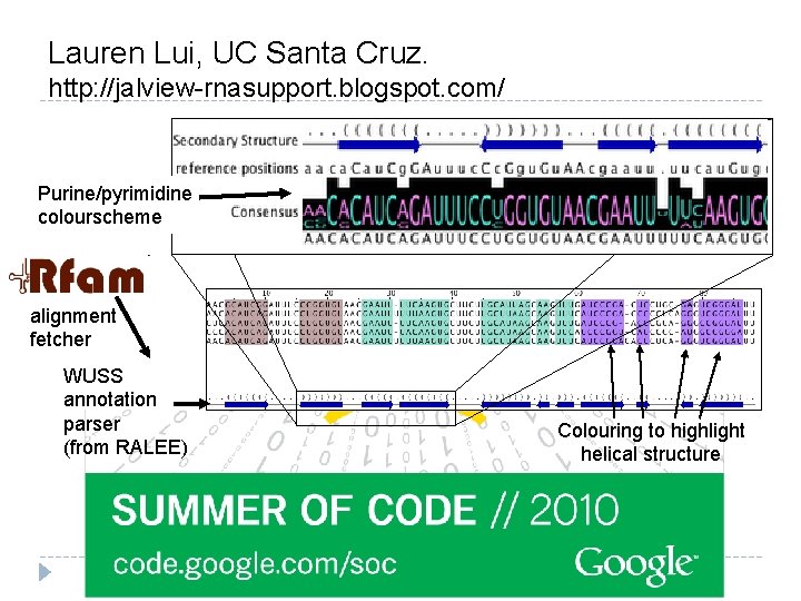 Lauren Lui, UC Santa Cruz. http: //jalview-rnasupport. blogspot. com/ Purine/pyrimidine colourscheme alignment fetcher WUSS