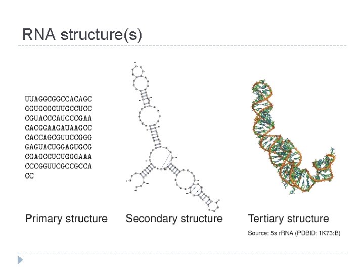 RNA structure(s) 