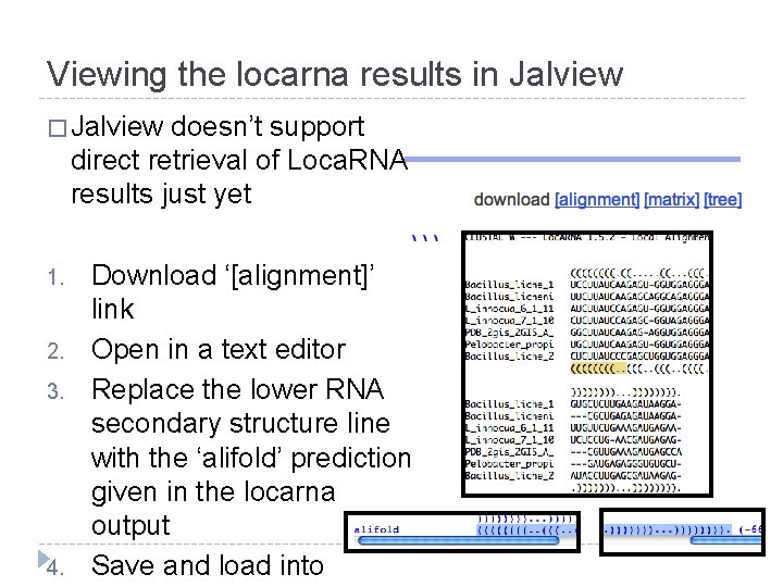 Viewing the locarna results in Jalview � Jalview doesn’t support direct retrieval of Loca. Viewing the locarna results in Jalview � Jalview doesn’t support direct retrieval of Loca.